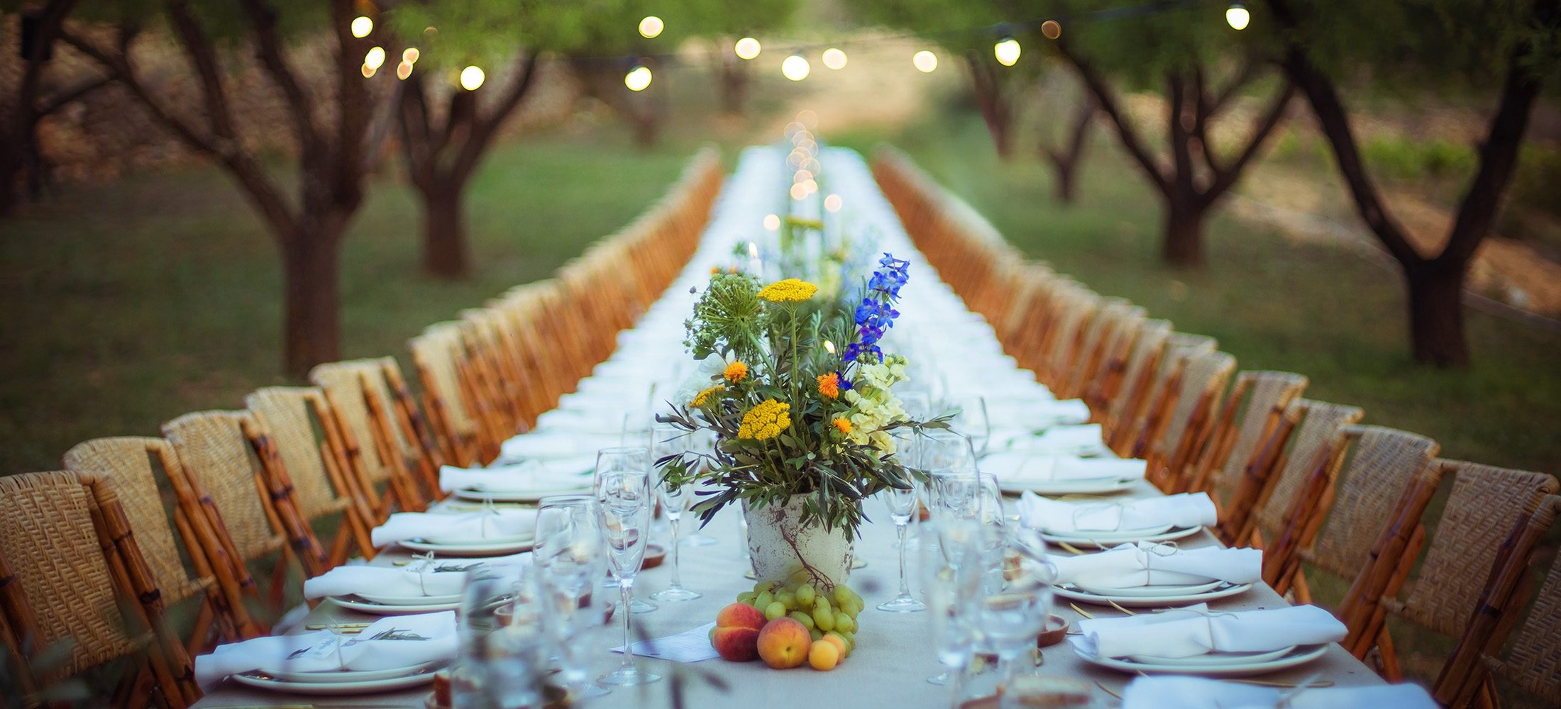 Elegant outdoor event table set among vineyards at Masia Cabellut in Catalonia, Spain.